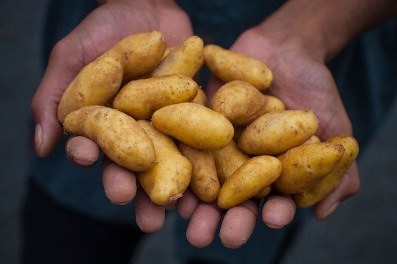 4P Foods tweet media