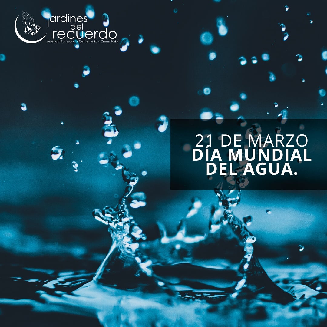 JardinesDelRecuerdo tweet media