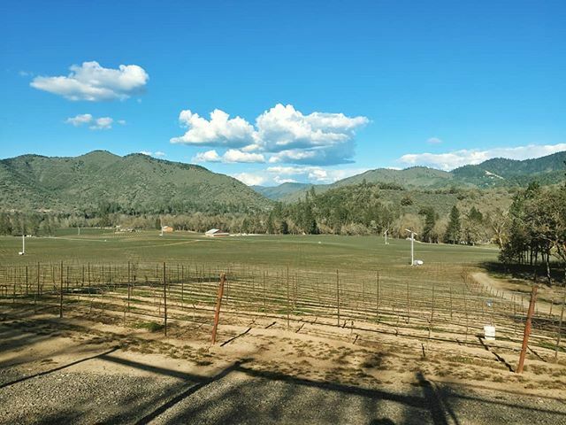 Silpher's tweet photo. My commute does not suck.

#vineyard #grapes #wine #outdoors #commute https://t.co/ySZtL1yGGs