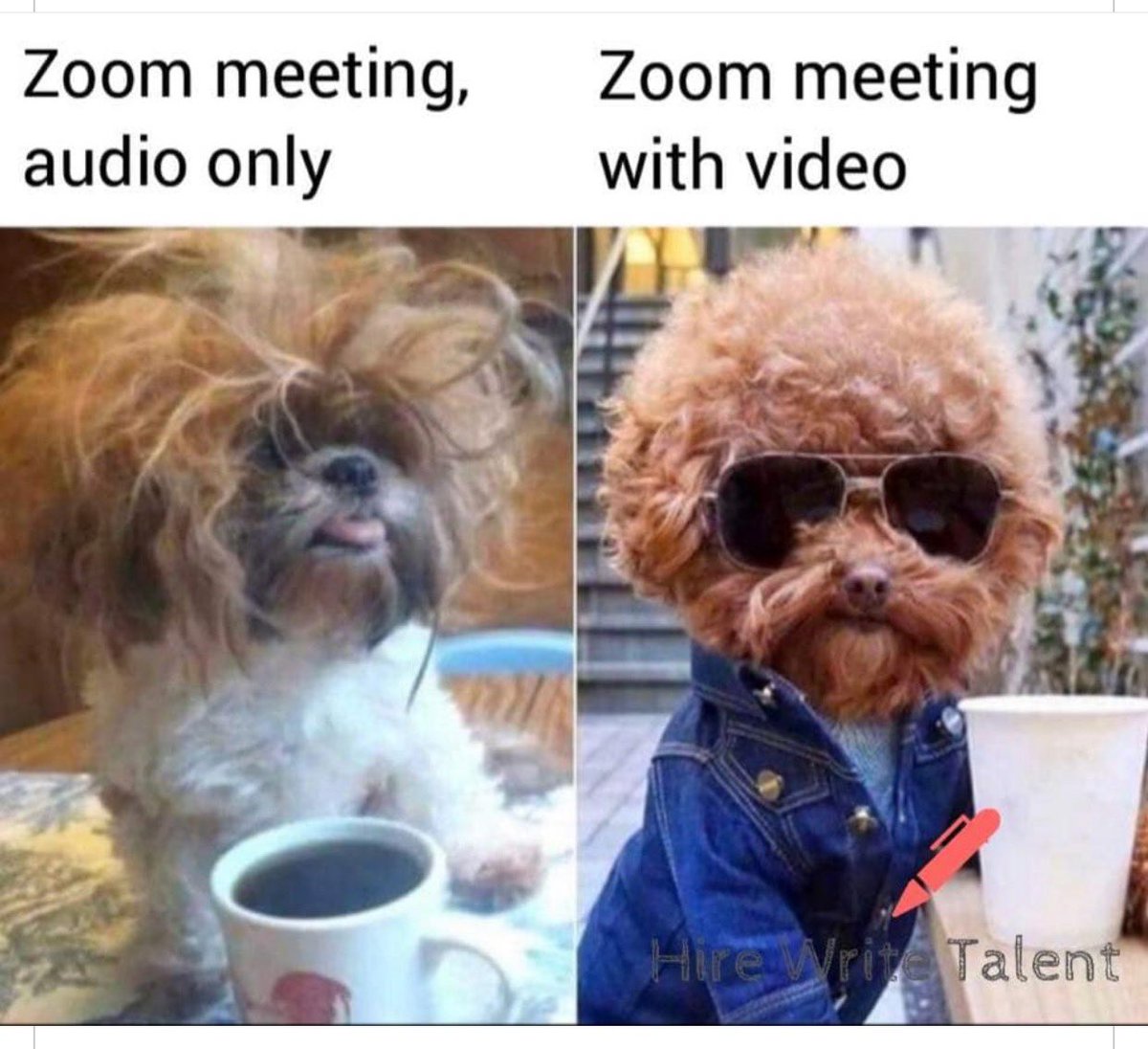 Had to share, we could use a little humor in our lives. #zoommeeting