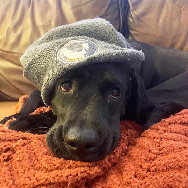 We miss all of you so much. We so appreciate how generous you have all been and how supportive you are being during our closure. We can’t wait to see you just as soon as it’s safe! 🧡 ift.tt/3dkX3VG