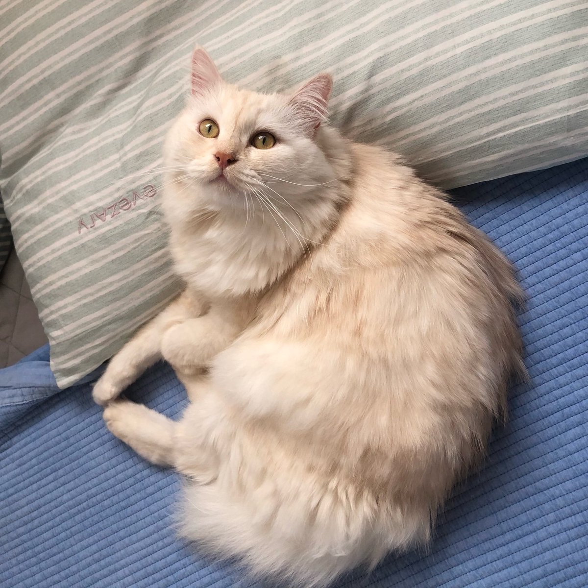 오랭만입니다🥰🥰🥰