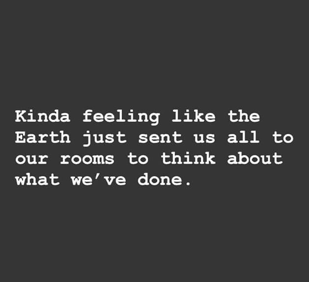 dogoscar (@dogoscar) on Twitter photo 