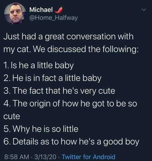 TheOfficialVV's tweet photo. Discussing the important topics with my babyπ»
#catmeme #caturday #catglass #catcups #meow #milk #kittenmeme #catstagram #catsofinstagram #catlady https://t.co/2SibMDVItD