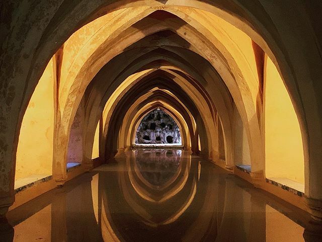 bakarchitecture's tweet photo. 🌞
#memories https://t.co/RrTLw2Sh72 https://t.co/J9zhN3ekrj