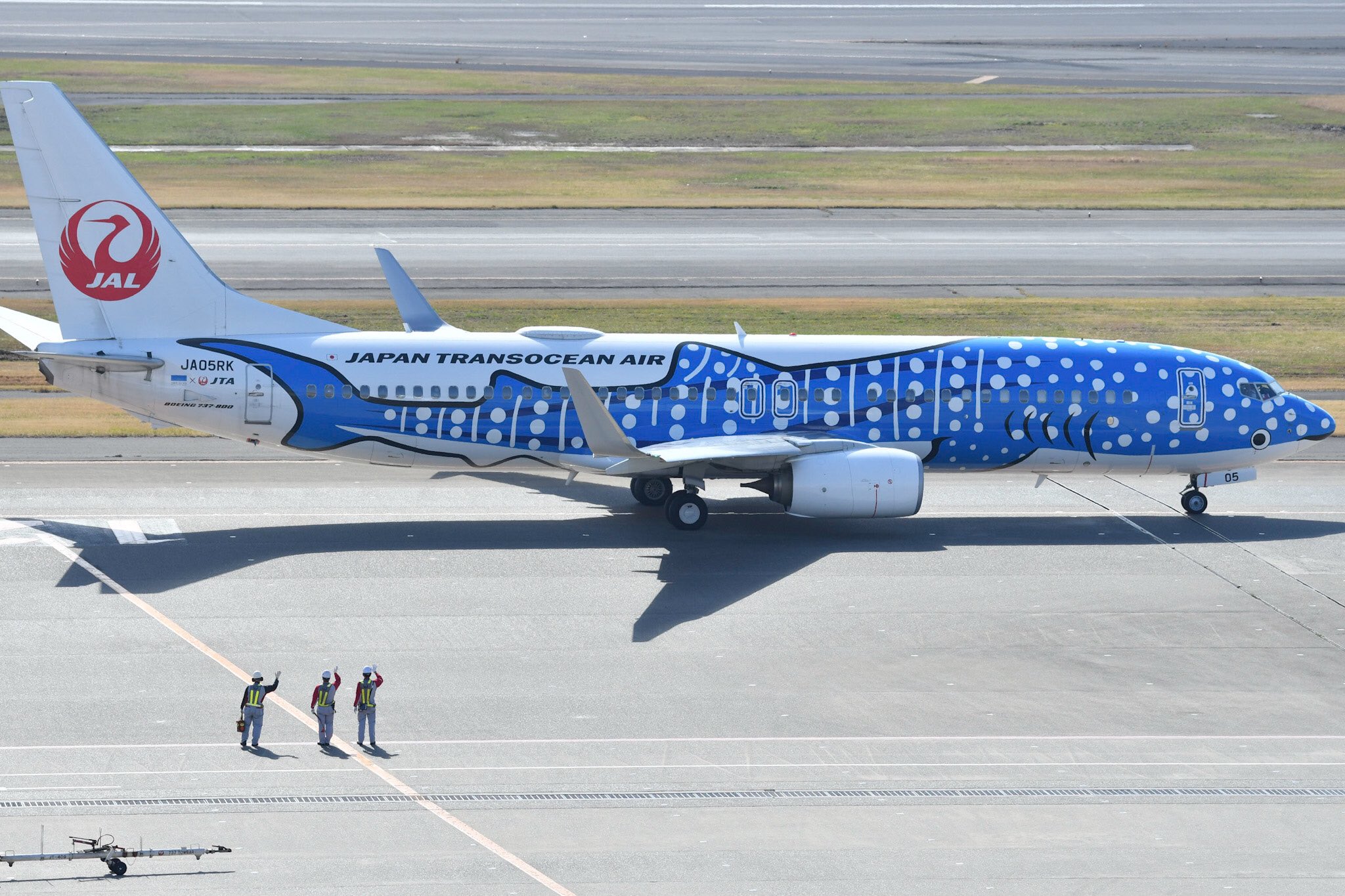 はろー たきたきわーるど Pa Twitter 先日の羽田空港にて Jtaジンベエジェット イラストかわいい ピンク色のさくらジンベエもいるみたいなので是非見たい ジンベエジェット T Co Vcya70c6mx Twitter