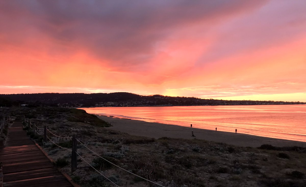 Have to enjoy the small things, especially in these times. Stay safe everyone.