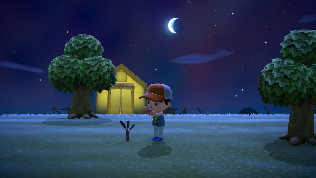 Playing ocarina to my tree to help it grow strong #ACNH    #AnimalCrossingNewHorizons  