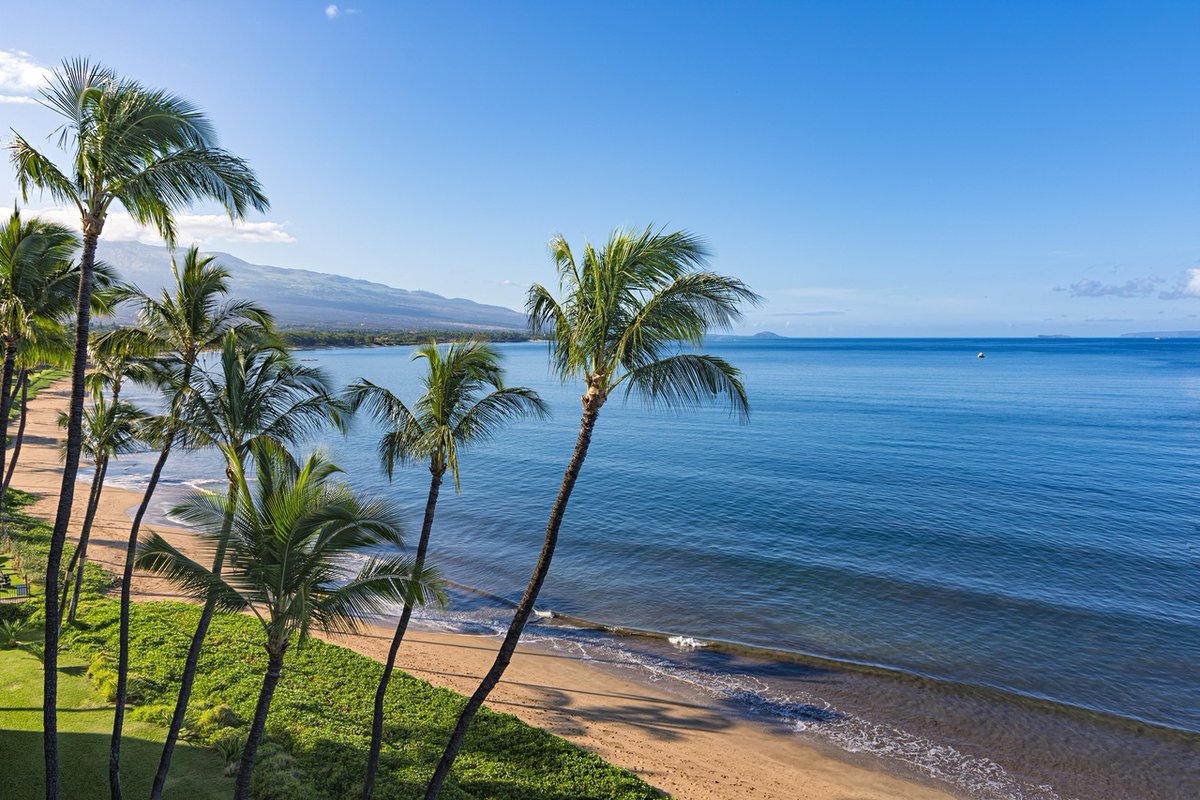 DukesBeachHouse's tweet photo. Mahalo to our partner, Ka Hale A Ke Ola Homeless Resource Centers, for everything they are doing to help our Maui Community during this time. 👏  Learn more about them here: https://t.co/K6inNG40K2 https://t.co/vwzulfIJRv