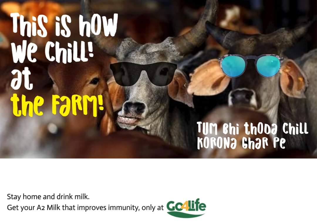 Go4LifeNow's tweet photo. #JantaCurfew even our #Cows are chilling at their homes? What's your excuse to be out?
@narendramodi https://t.co/P0aw4FV2f3