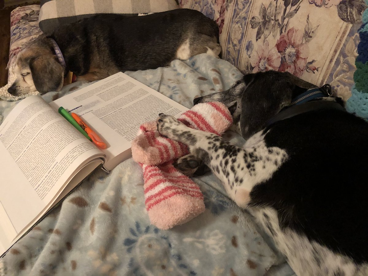 Guess the growth and development book for counselors put them to sleep #gradschoollife #seniorbeagles #alwayslearning