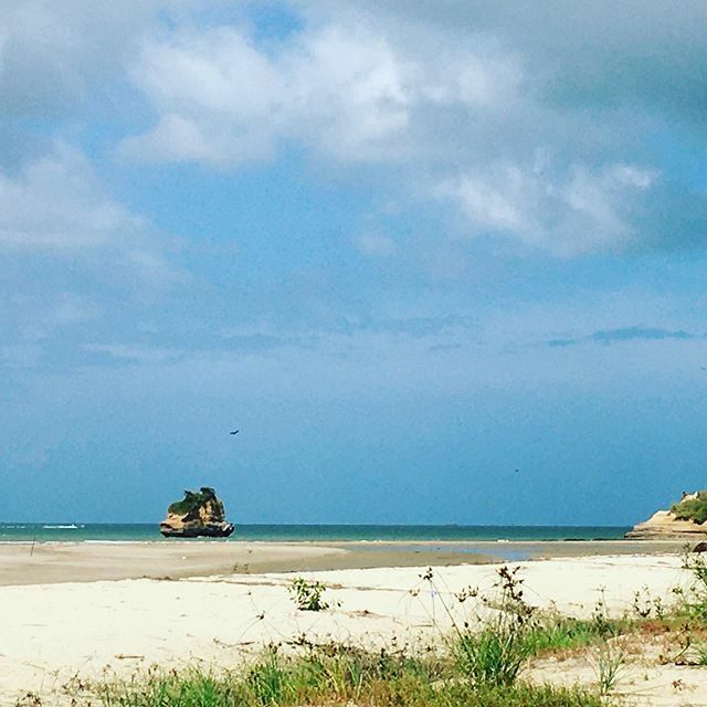 trendiwendii's tweet photo. Social distancing ...the way Nature meant it to be. 🤔The beach at Columbus Bay in my home country Trinidad 🇹🇹. The @nytimestravel would know nothing about this place cause they are not locals. Photo credit:Me on my annual Xmas holiday. #beach #beachlife #thoughtoftheday #tri… https://t.co/5nQmaZmWh1