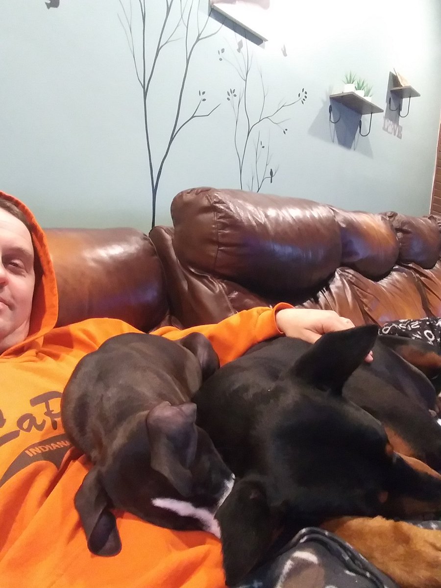 JaySappPainting's tweet photo. 115lbs of Doberman and Pitbull on my lap! https://t.co/hKop9WB08T