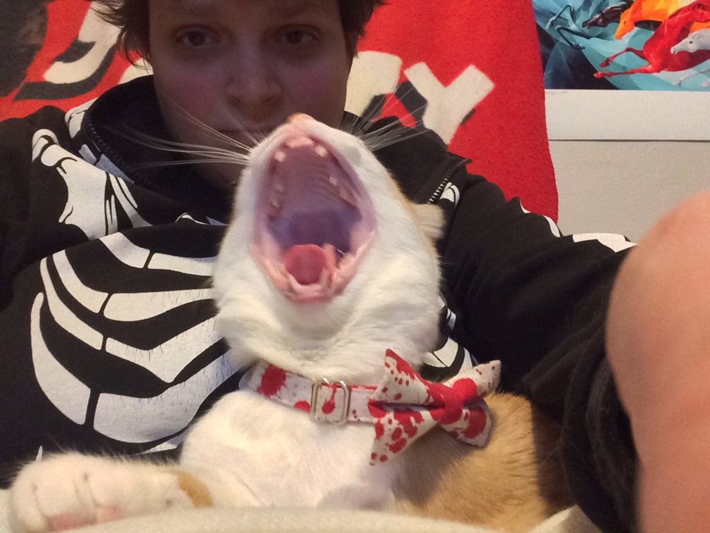 AmylouAhava's tweet photo. Ash Williams joined the watching party and he cannot contain his excitement. #KillerSaturday #FinalDestination2 #MutantFam #AshCat https://t.co/WnDhFmCAMK