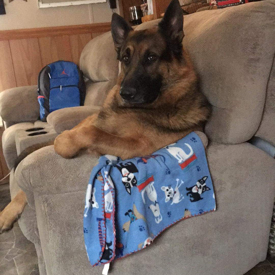 keith9807's tweet image. 