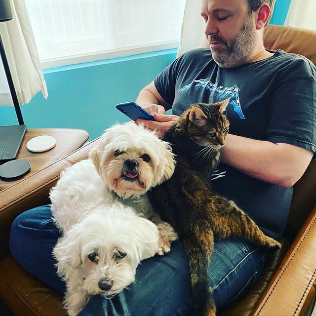 Day 8 of quarantine; I think they have accepted me as one of the pack. ift.tt/2UsiCef