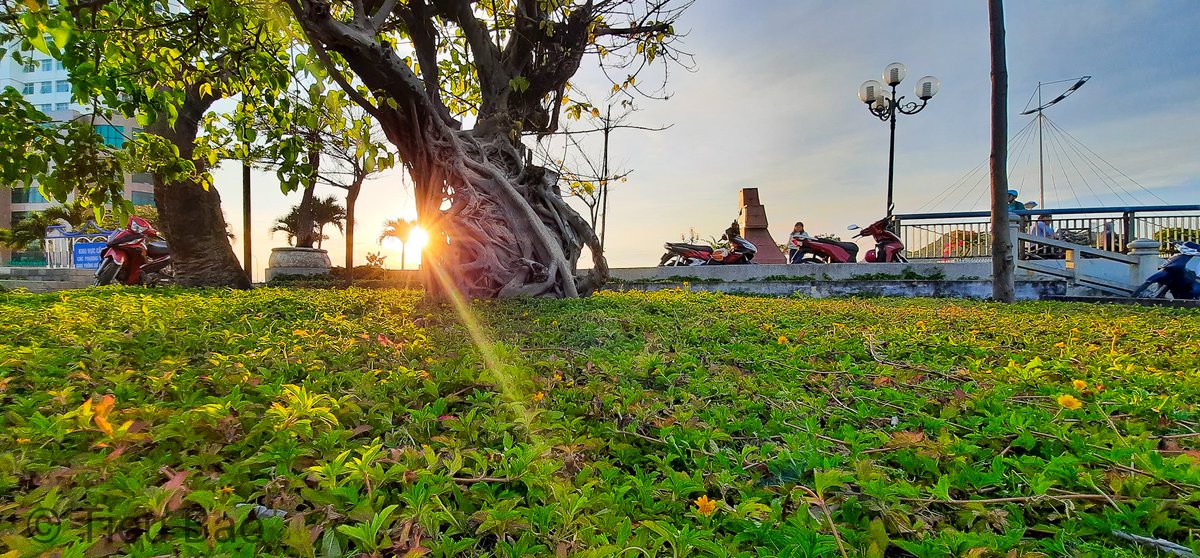 Vitieub54526311's tweet image. Còn tia sáng là còn hy vọng...
#vtbstudio
#vtbmultimedia
#muonmaucuocsong
#A51
#phongcanh
#nhatrang
#photography