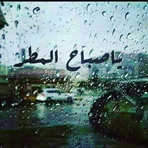 تلك السماء وإنْ تأخّرَ قطرها
لابدّ في يوم يفيض وينهمر

ولربما جاد الغمام بمائها
فأعاد للنجمات أثواب المطر

وأعادَ للأرضِ الحزينة سحرها
لتُراقص الأغصانَ في الروضِ النّضرْ

 #صباح_الخير