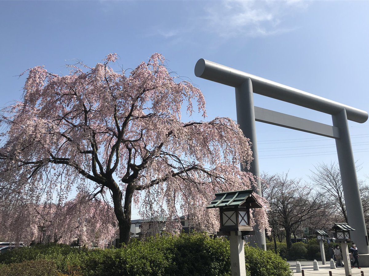 f_goshuin's tweet photo. 昨日は、毎年さくらの季節に伺う櫻木神社に参拝してきました🌸
今年も素敵な限定御朱印をいただいてきました✨
コロナの影響で例年のような賑わいは無かったです。。。早く収束しますように🙏 https://t.co/4zSUtSDREB