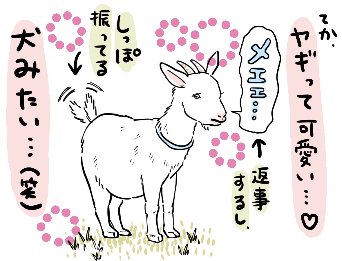 時々行く公園で飼ってる(?)ヤギ。
めっちゃ可愛い??
間違って「モォ～」と言っちゃって、テレる娘も可愛い??

#コミックエッセイ #子育て絵日記 #子育て漫画 #育児絵日記 #育児漫画 #ヤギ #2歳児 #いいまつがい 