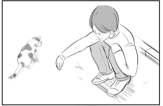 道路で友人の古傷に触れた話。

友人と散歩中、
野良猫を見つける

友人
「あー!可愛い、
ニャン、ニャン、ニャン」
(撫でようとする)

野良猫

少しよける
↓
友人「...」

僕「もう撫でないの?」 