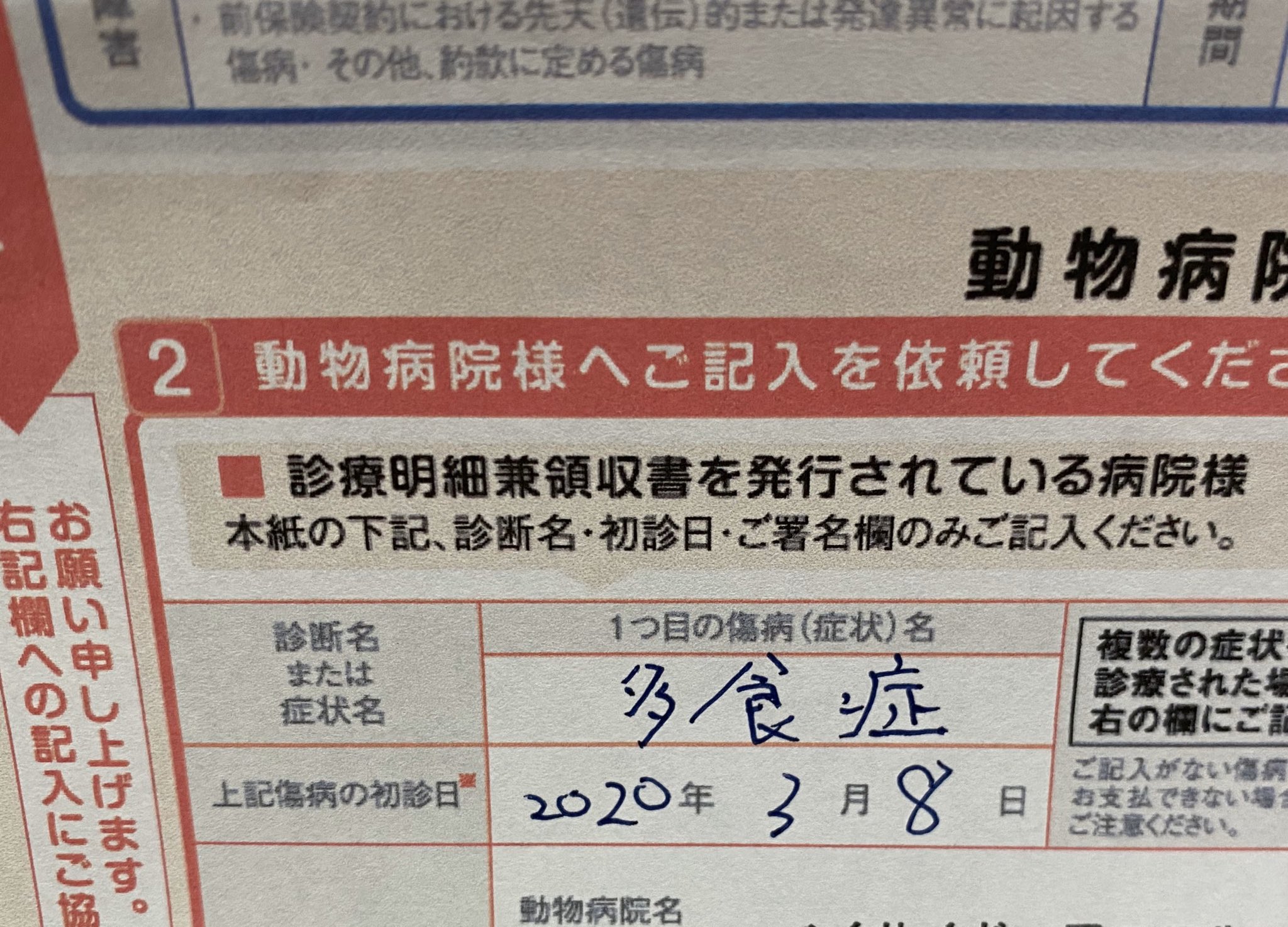 つるりん Facebookに目が腐るほど長文で書いたけど さくっとまとめます ひめちゃんの食欲が異常で 病院に連れて行ってあれこれ検査してもらったものの異常なし た ただの大食い そしてペット保険の書類に記入してもらった傷病 症状 名は 多食症