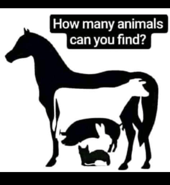 How many animals are there?