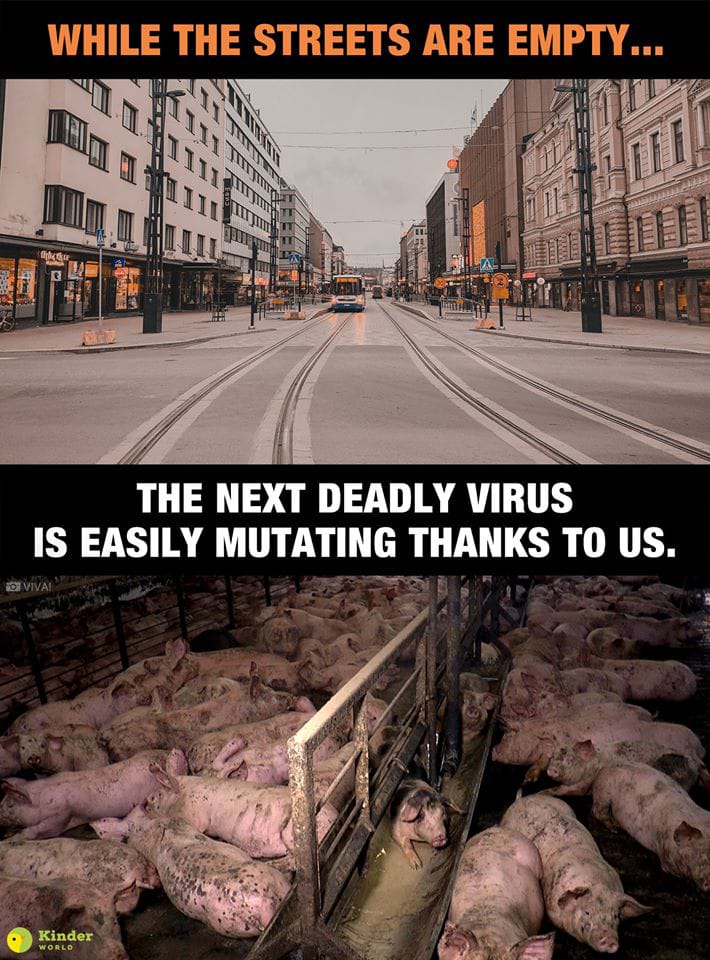 Let's take a moment to understand this in-depth, consuming animals not only harms us and the environment, but also is unethical.
#meatkillseveryone
#preventpandemics
#coronavirusupdate
#GoVegan