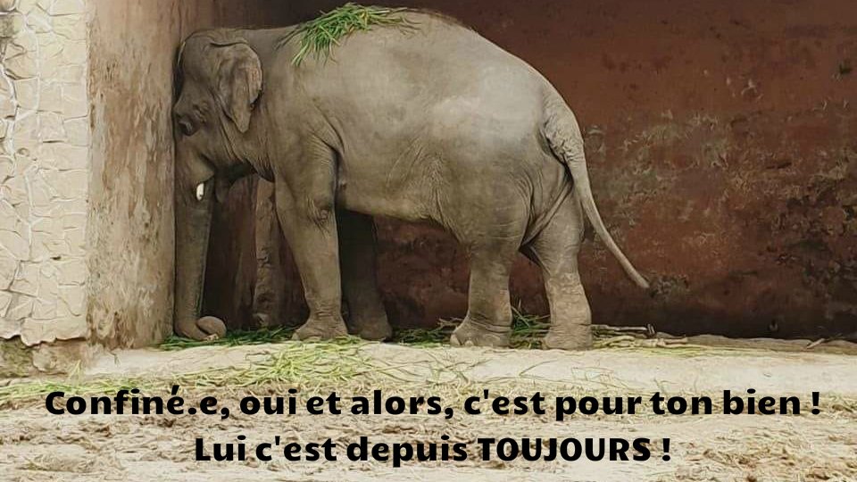 HumanSirk's tweet image. 