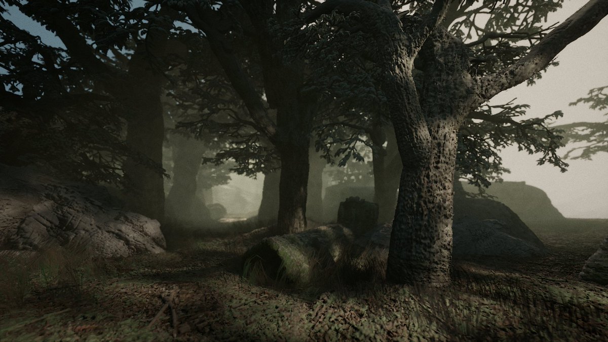 MasterClassesPS's tweet image. &quot;Realistic&quot; Oak Tree Module up and remixeable for all of your.. tree-ey needs? 

Yeah didn&apos;t think that wood work either..indreams.me/element/oQmdpH… 

#DreamsPS4 #MadeInDreams