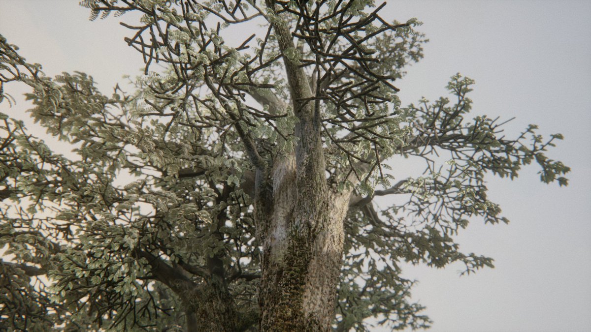 MasterClassesPS's tweet image. &quot;Realistic&quot; Oak Tree Module up and remixeable for all of your.. tree-ey needs? 

Yeah didn&apos;t think that wood work either..indreams.me/element/oQmdpH… 

#DreamsPS4 #MadeInDreams