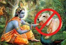 Seeing the cruelty in current dairy industry, even lord Krishna would have gone vegan.

#meatkillseveryone
#preventpandemics
#CoronaVirusUpdate