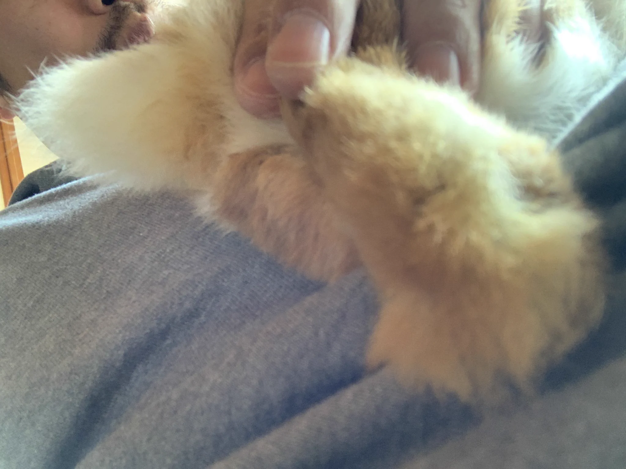 @r2d2c3poacco @smile_fxxkyou ( ﾟдﾟ)ﾊｯ! 