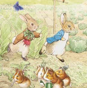 @r2d2c3poacco これを見て、
「えー？
ピーターラビットの足の裏、
肉球あったっぽかったよなー？」
って思って調べたら、
そもそも肉球どころの問題じゃなかった…
靴履いてるやん… 