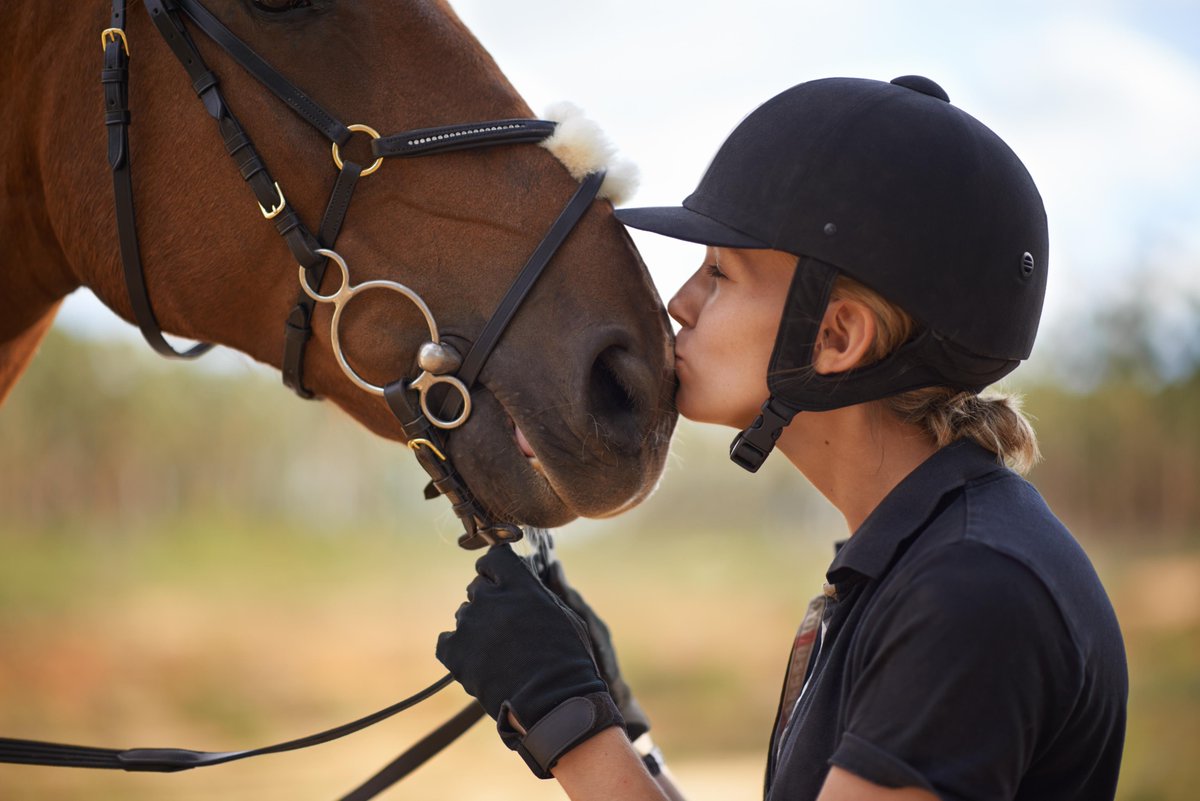 followDiamondV's tweet photo. Horses of all classes, types, and life stages can benefit from improved #DigestiveFunction. Are you providing them with the proper feed? #DiamondV #Equine #ChampionsChoice https://t.co/F2i4zAcMzr https://t.co/P9oZcUlnlB