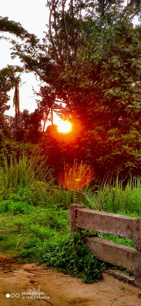 GoutamSamal9's tweet photo. #JantaCurfewMarch22
#StayHomeStaySafe #CoronaChainScare #COVID19outbreak #Covid19India #JanataCurfew
#dropytech
@anjanaomkashyap
Good morning https://t.co/QTQKTW2eZR