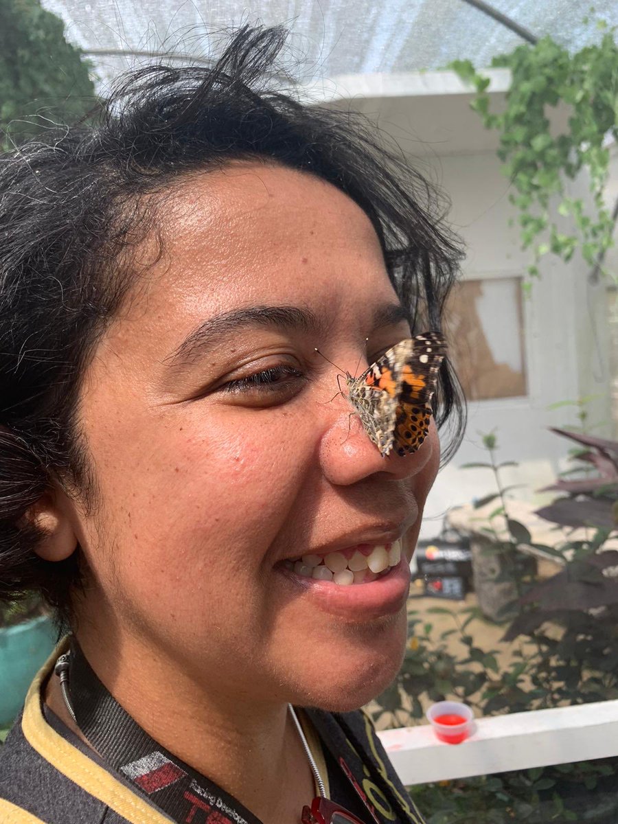 CruzSeary's tweet photo. @lukasnursery getting some caterpillars and making some videos for my PreK Autism class. #distancelearning #ocps https://t.co/f5bPh7EuaG
