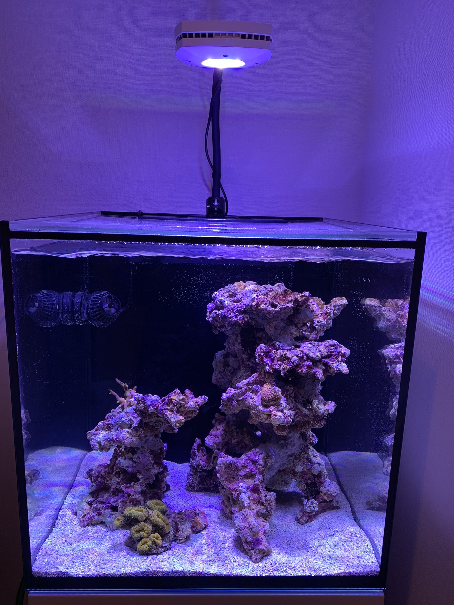 取引限定 中古 REDSEA REEFER NANO レッドシー リーファー ナノ 取引限定 中古 REDSEA REEFER NANO レッドシー リーファー ナノ