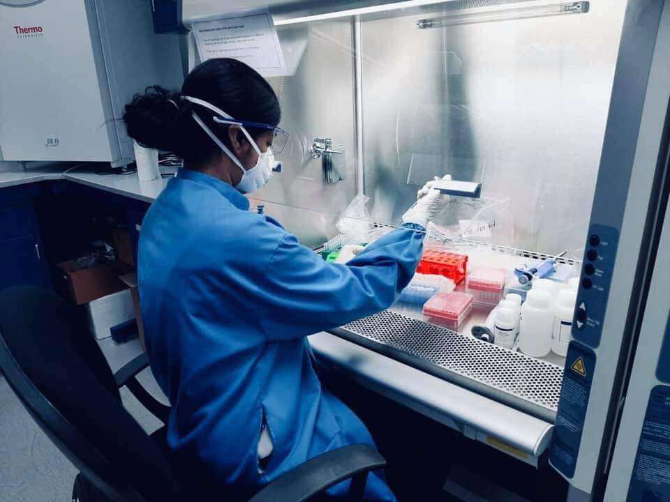 NewsNow360's tweet photo. #SriLanka:
A team of doctoral students, doctoral &amp; post-doc scientists led by Prof Gathsaurie Neelika Malavige of the Centre for Dengue Research,Uni of Sri J'pura working on test samples received from all major hospitals for 2019-nCoV on voluntary basis
#lka #COVID19LK #COVIDー19 https://t.co/UYruBjUQjS