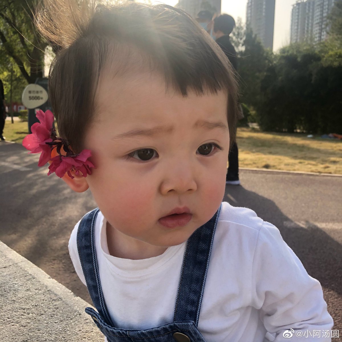 chybspt's tweet photo. ดอกไม้ทัดหู ใส่มงกุฎใบไม้ ㅠㅡㅠ น่ารัก 👶🏻🌺🌿⛅️ https://t.co/eARwDvgGT0