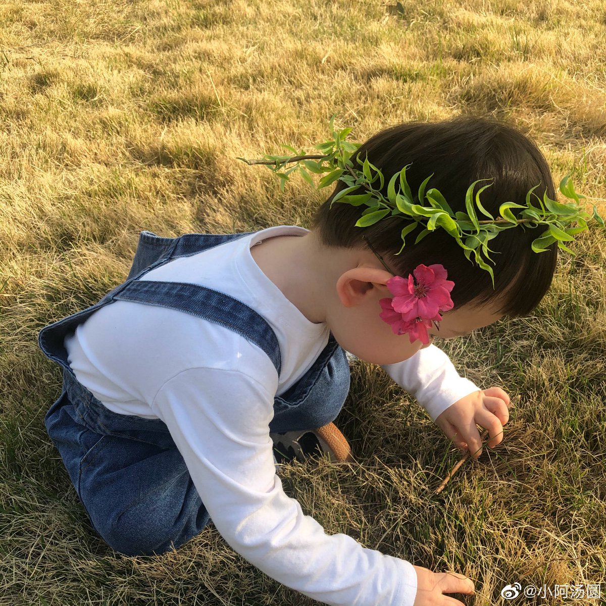 chybspt's tweet photo. ดอกไม้ทัดหู ใส่มงกุฎใบไม้ ㅠㅡㅠ น่ารัก 👶🏻🌺🌿⛅️ https://t.co/eARwDvgGT0