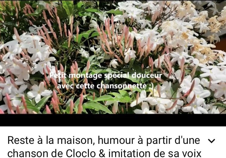 casal_gaelle's tweet image. youtu.be/hH0gNKi5_7o Bonjour ! 🤗☘️☺️💚❣️🎵 un peu de douceur et d'humour pour ce dimanche matin #chansonnette #resteàlamaison Écoutez 🙏🏻 ça fait du bien !!