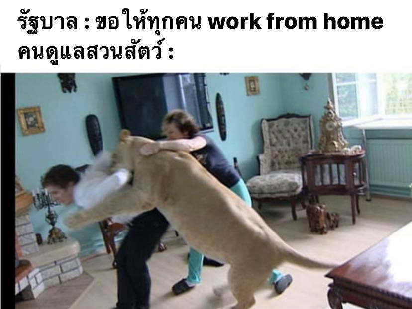 dararinx's tweet photo. กุชอบมุขแบบนี้จริงๆนะ5555555555555555555 https://t.co/h7RSh8EOdD