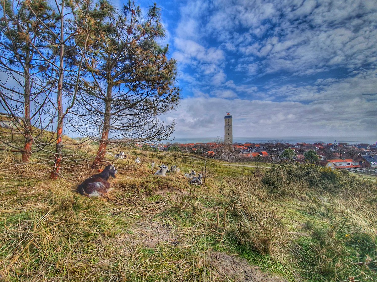 VVV Terschelling tweet media