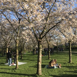 GA NIET! Het Amsterdamse Bos adviseert bezoekers met klem Bloesempark te mijden en op andere plekken in het Bos te wandelen. Als het vandaag (weer) te druk wordt, kan de voorzitter vd veiligheidsregio, burgemeester Halsema, besluiten het park te sluiten.
amstelveen.nl/home/nieuws/ga…