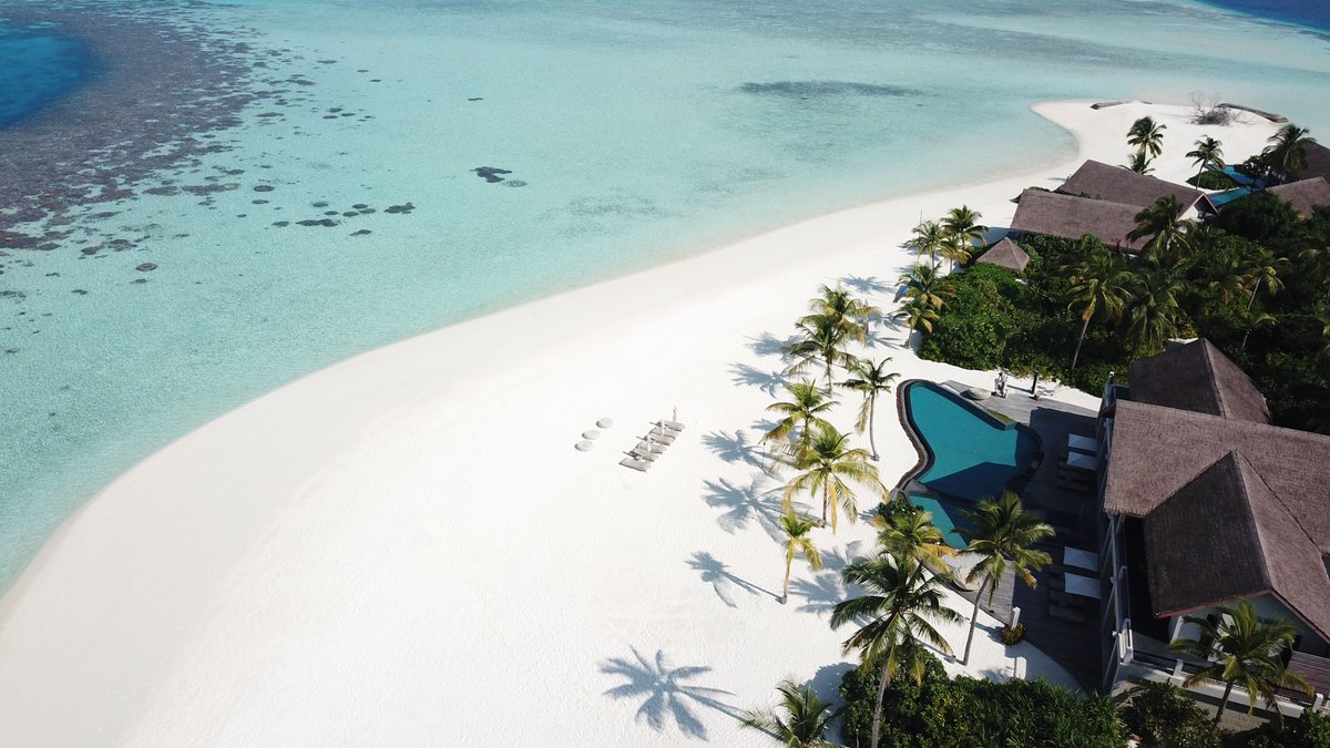 Disc_Maldives's tweet photo. Days on the private island revolve around the Beach House and adjacent powder white sands, crystal lagoon and vibrant reef. 

https://t.co/WheS45IyJV

#Maldives https://t.co/iSsQzcwwMJ