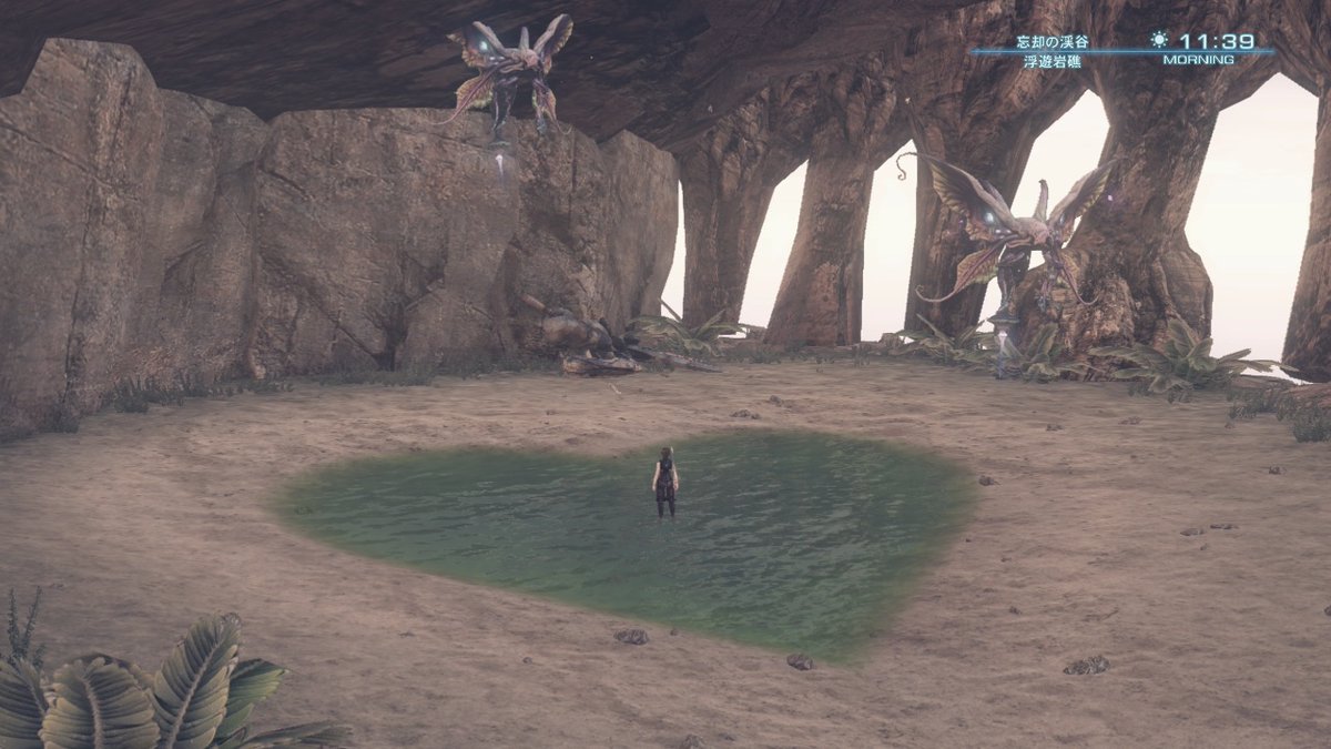 メリノ定食 ハート の地形と言えばゼノクロにも数カ所ある 忘却の渓谷の浮遊岩礁 陸地の方はノーマルクエストで収集要求される素材のハートストーンが中心に置かれてる場所だったり どちらの場所もつがいと言うか2匹ずつ同種原生生物が置かれてて面白い