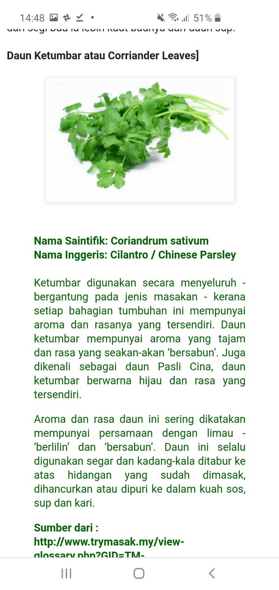 daun parsley dalam bahasa melayu