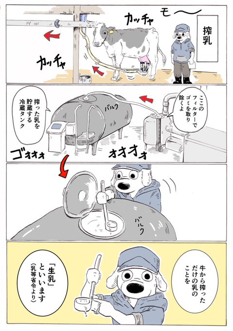 ?「生乳」と「牛乳」?

「生乳」と「牛乳」の違いをとても大雑把に描いてみました。(参考:乳等省令)

「牛から搾った乳」だから全部「牛乳」で良さそうだけど、販売する商品になると色々と決まりがあるようです?

(自分は酪農の仕事に就くまで違いを知らなかった…) 