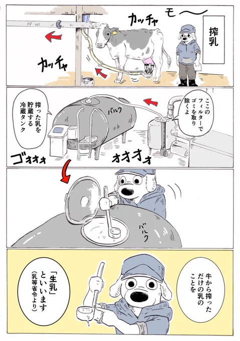 ?「生乳」と「牛乳」?

「生乳」と「牛乳」の違いをとても大雑把に描いてみました。(参考:乳等省令)

「牛から搾った乳」だから全部「牛乳」で良さそうだけど、販売する商品になると色々と決まりがあるようです?

(自分は酪農の仕事に就くまで違いを知らなかった…) 
